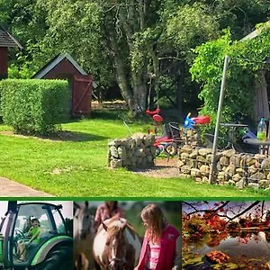 Stutteri Skandihest Farm stay Billund